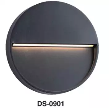 DS－0901